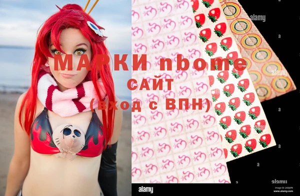 СК Покачи