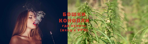 хмурый Покров