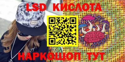 МДПВ Будённовск