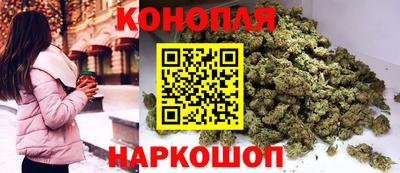 МДПВ Будённовск