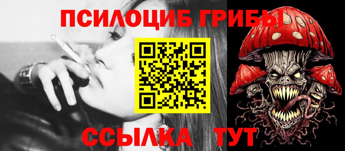 купить наркотик  Заволжье  Галлюциногенные грибы Psilocybine cubensis  Псилоцибиновые грибы мицелий 