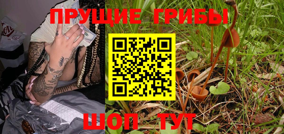 Заволжье  Галлюциногенные грибы ЛСД  Вход с VPN 