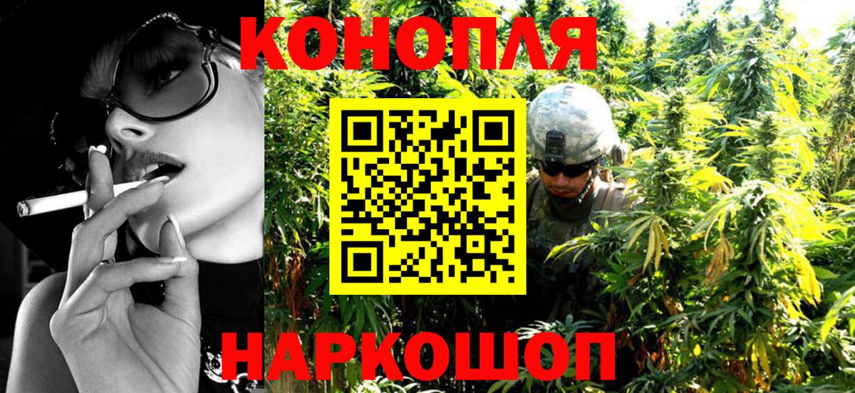 Конопля планчик  Вход с VPN  Бошки Шишки AK-47  Каннабис конопля  Заволжье 